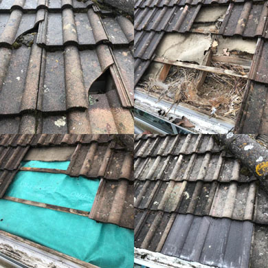 Roof repairs