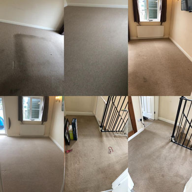 Carpet cleaning